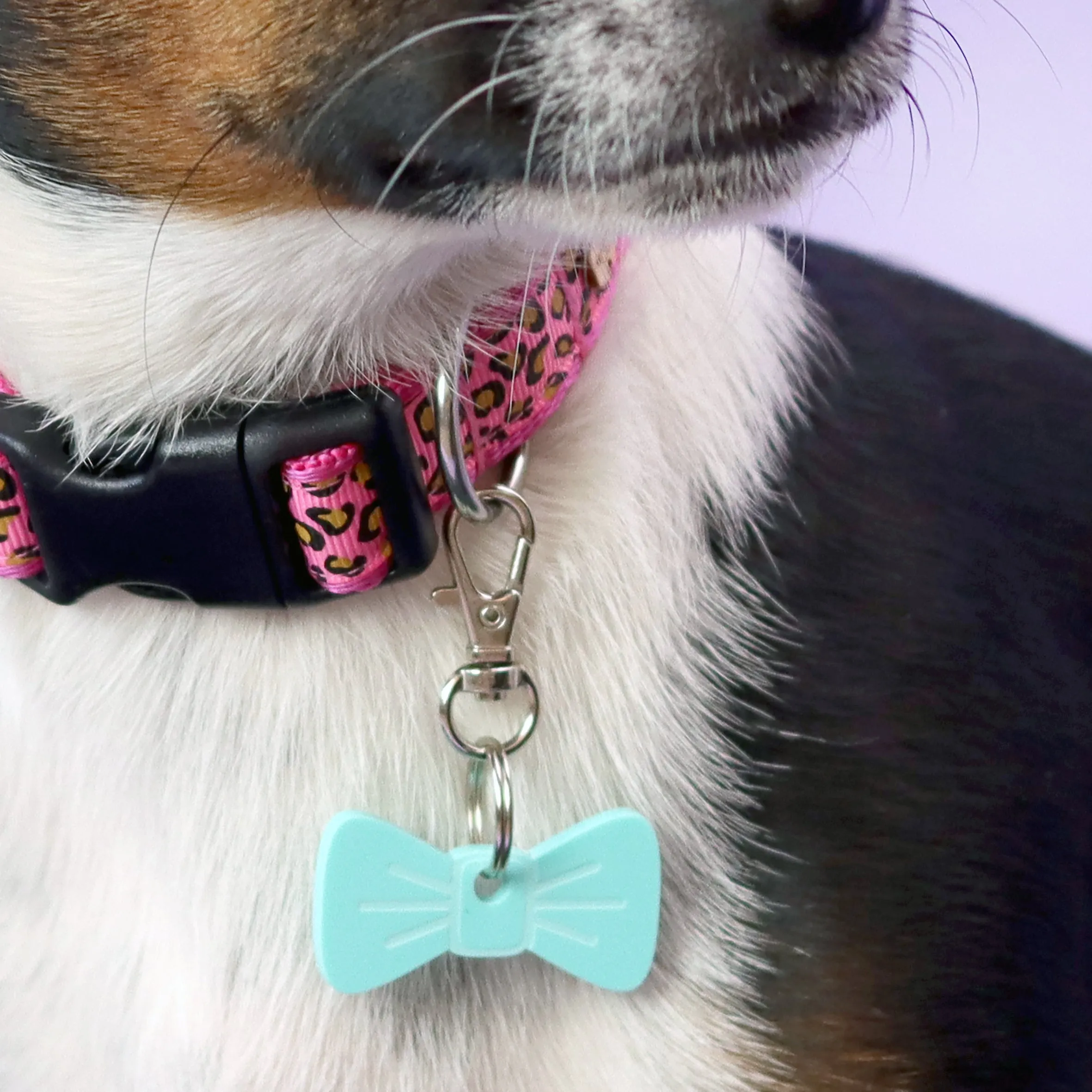 Aqua Splash Mini BowDangle
