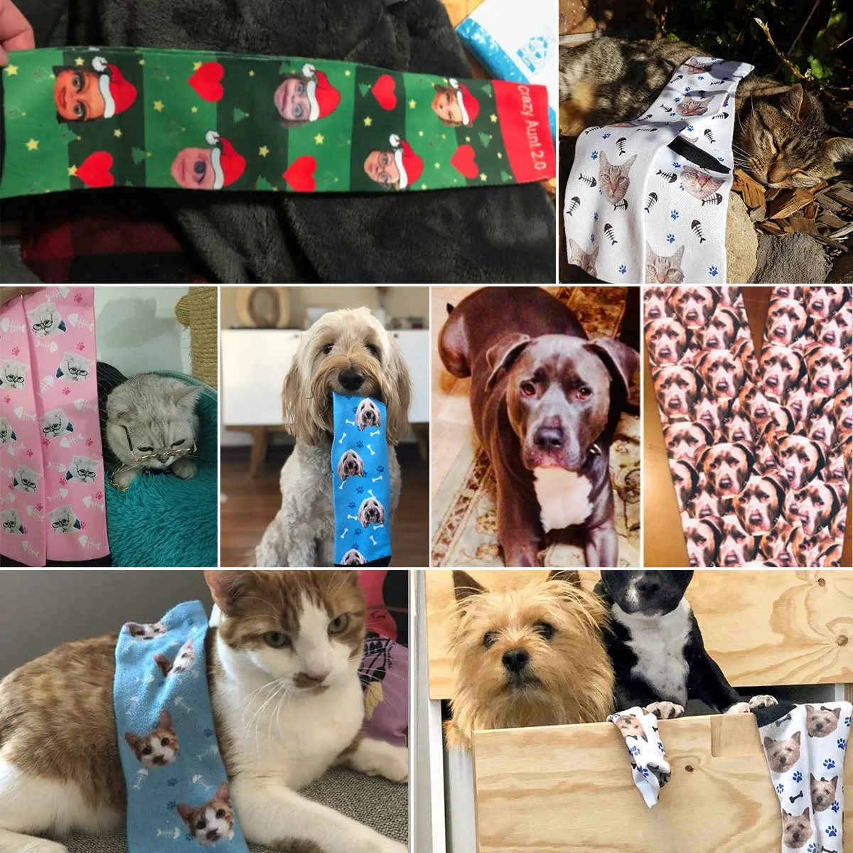 Custom Face Funny Feces Photo Socks