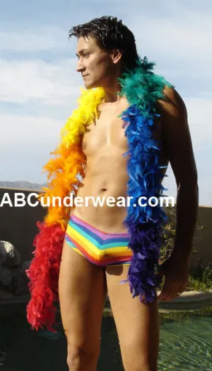 Rainbow Feather Boa Sections
