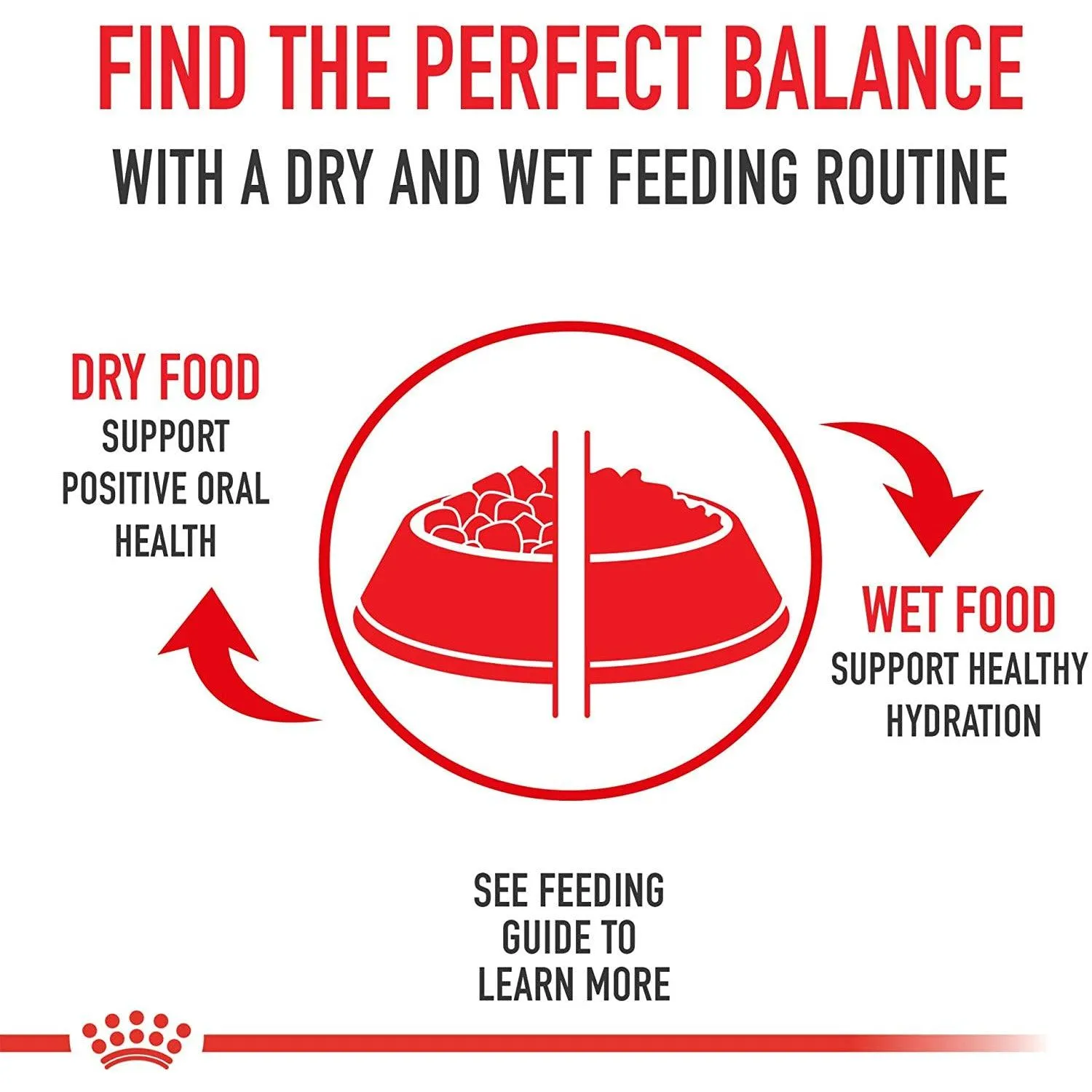 Royal Canin® Feline Care Nutrition™ Digestive Care Thin Slices In Gravy Canned Cat Food